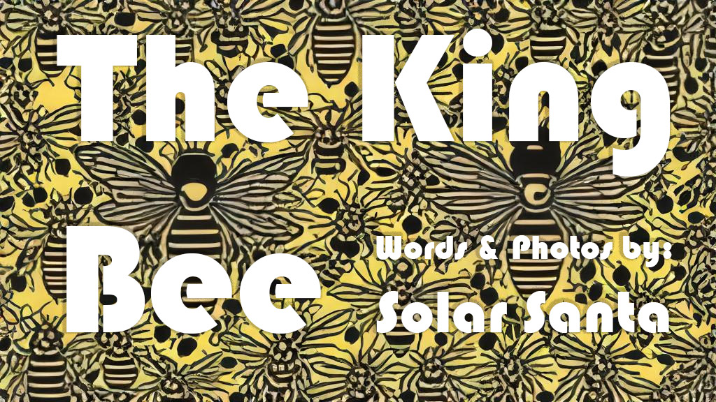 The King Bee