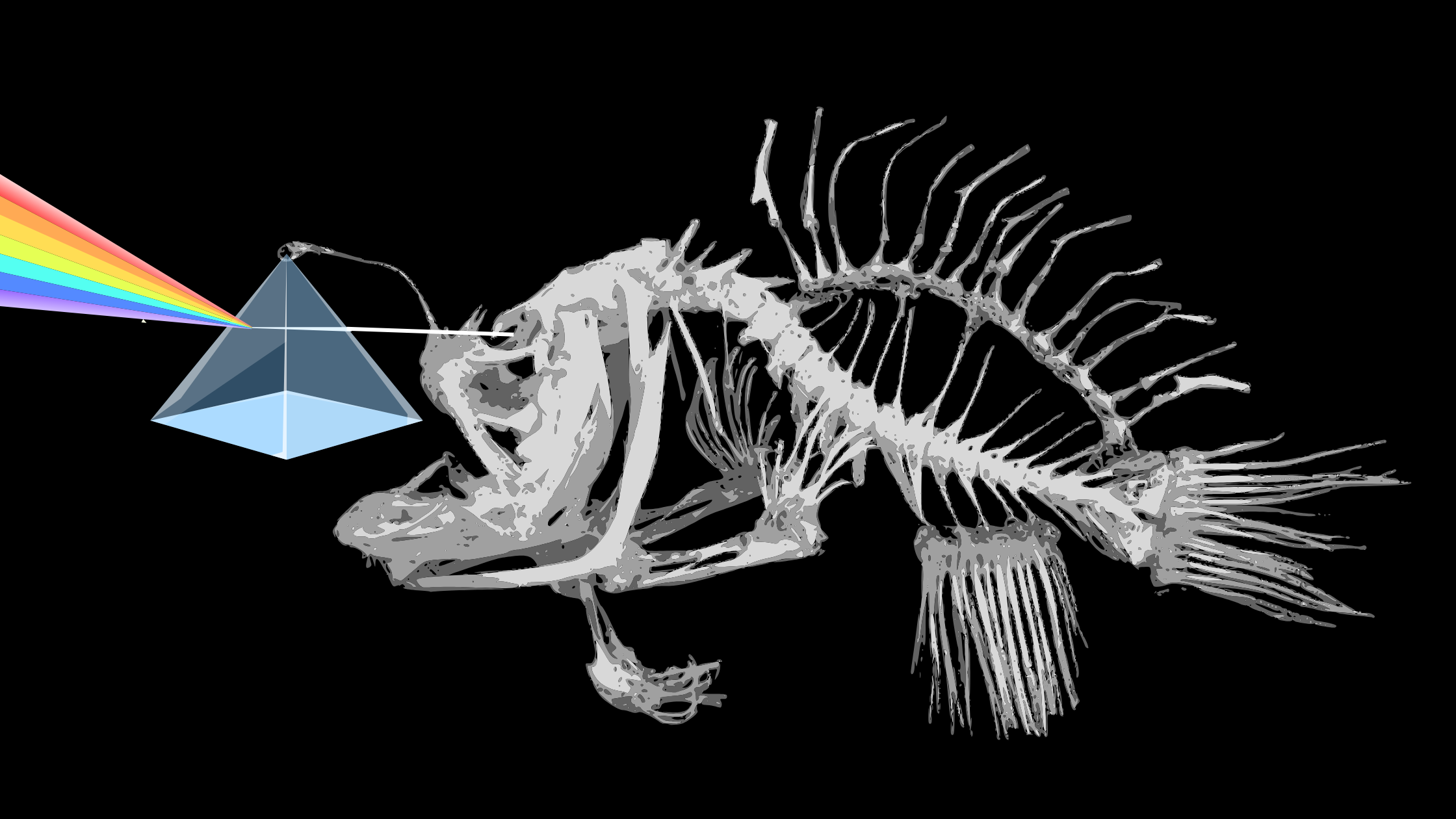 The Banglerfish Through The Prism