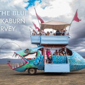 AfrikaBurn Event image