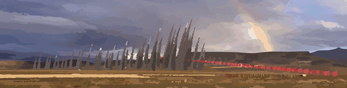 Help Bring ‘The Crossing’ to AfrikaBurn