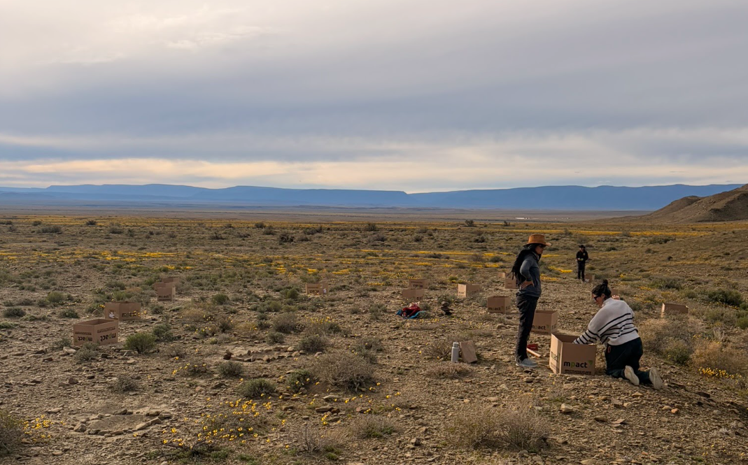 After the Dust Settled: Planting More than Seeds