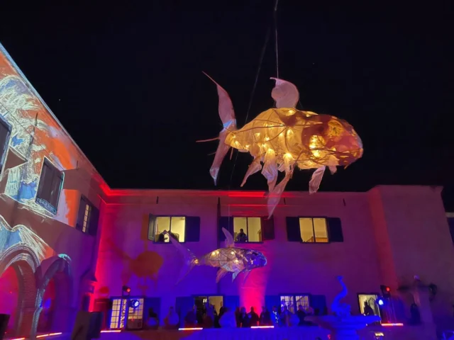 Did you rule the Castle this weekend?

We want to see what magic you made at Decompression!

Share your favourite Decompression moments, wildest outfits, unexpected connections, or just that one blurry pic that somehow captured everything - simply mail to us at info@AfrikaBurn.com

Go on… show us your snaps!

Artwork: Sandfish by Chip Snaddon
Photo: Lexy